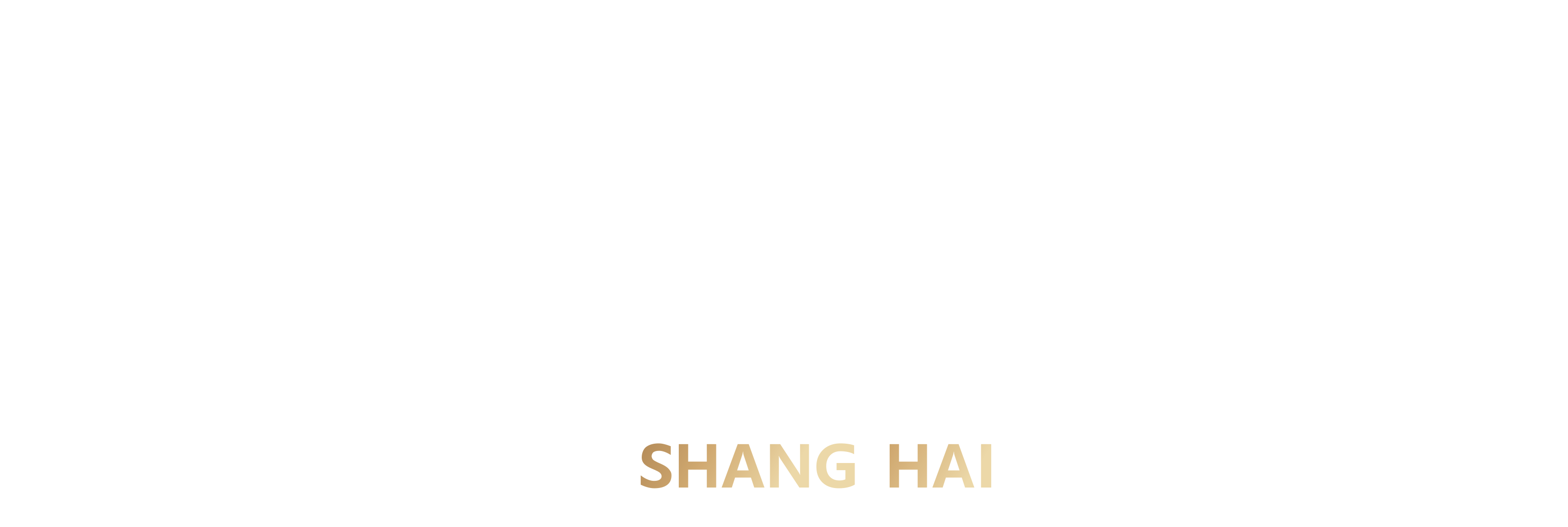 上海图书馆 上海文化总库